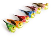 Artemio Vogels (6) - decoratie