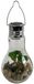 Mojawo LED-glazen lamp met ophanging, versierd met vetplanten, diameter 9 cm, hoogte 18 cm
