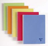 Clairefontaine 328325C Collectie Linicolor Fresh Pak met 10 Spiraalschriften - 24x32 cm - 100 Pagina's Kleine Ruitjes - Wit Papier 90 g - Polypro Omslag Transparant - Willekeurige Kleuren