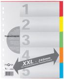 Pagna Kartonnen tabbladen A4, 12-delig, extra breed