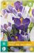 jub X 10 Crocus blauw/wit