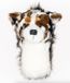 Bagboy Head Cover Daphnes Driver DAHC Berger australien