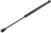 NTY Gasveer achterruit OEM 46812168 Zwart 39.5 cm voor Fiat Stilo