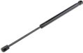 NTY Gasveer achterruit OEM 46812168 Zwart 39.5 cm voor Fiat Stilo