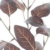 Erutan avon - Flocked eucalyptus spray brown 72 cm
