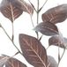 Erutan avon - Flocked eucalyptus spray brown 72 cm