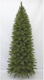 Triumph Tree Bristlecone Pilar - Kerstboom Smal Model - Groen