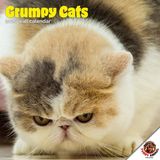 Dayplanner Grumpy Cat Kalender 2027