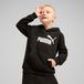 PUMA ESS Nr. 1 Logo Hoodie FL PS, 104