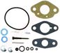 BPC Parts Reparatieset carburateur passend op TECUMSEH (631173, 631180)