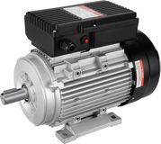 VEVOR 2,2 KW Elektromotor 2800 Tpm AC 220-240V 13,8A 1-fase 24mm Spline-as