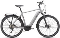 GIANT AnyTour E+ / Solid Grey / Heren / L / 2019