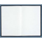 Le Delphin 954D register, 39 x 25,5 cm, geruit, 5 x 5 cm, 400 pagina's, hardcover, zwart