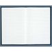 Le Delphin 954D register, 39 x 25,5 cm, geruit, 5 x 5 cm, 400 pagina's, hardcover, zwart