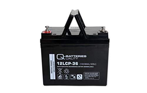 Q-Batteries 12LCP-36/12V ? 36 Ah Lood Accu Cyclus Type AGM ? Deep Cycle VRLA 4250889611194