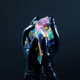 Bertus Distributie Enchanted By the Muse