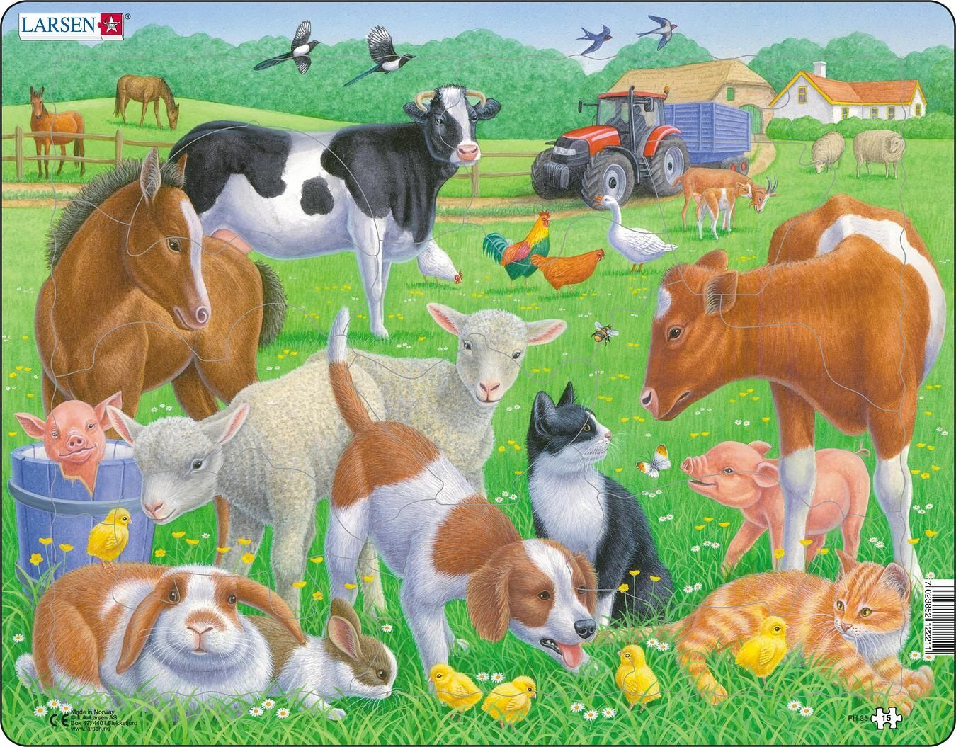 Larsen Maxi Dieren Huisdieren en Boerderijdieren Puzzel - 15 stukjes - Meerkleurig