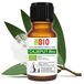 Cajeput Laborbio Cajeput Bio Etherische olie 100% Pure 10 ml - Aromatherapie Therapeutisch Cosmetische