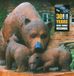 Bear Family 30 Years Bear Family
