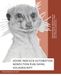 Adobe InDesign Automation: Nonfiction Publishing via JavaScript