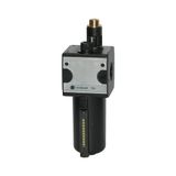 RIEGLER 100564-L 34 M-SR mistolie »multifix«, met metalen houder, kijkbuis, BG 3, G 3/4, 1 stuk