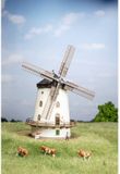 Auhagen 14490 N Molen Gohlis