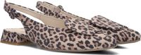 Paul Green 6090 Hakken Dames - Bruin - Maat 39