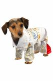 Rubie's Elvis Pet Jumpsuit, zoals afgebeeld, groot