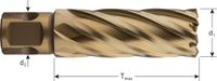 Rotec HSS-XE Kernboor GOLD-LINE, universeel 19, ø43x55