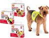 Karlie Vest - s night walk for dogs
