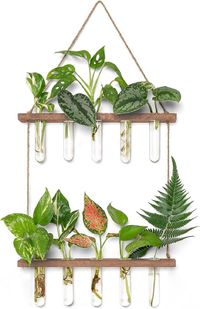 Trend24 Station de boutures - Vase à boutures - Incluant 10 tubes - Marron