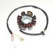 Elektrosport Industries Stator ESG146