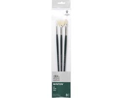 Winsor & Newton Winton Penseel Lange Steel Set van 3