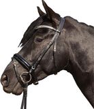 HKM Starlight Hoofdstel - Zwart - Leer
