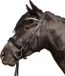 HKM Starlight Hoofdstel - Zwart - Leer