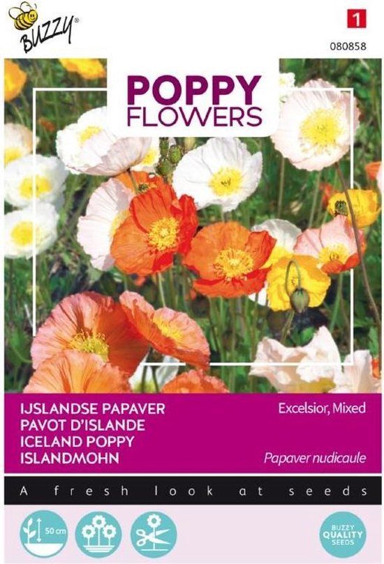Buzzy PIETERPIK RETAIL B.V. Poppies Of The World IJslandse Papaver Bloemzaad