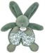 Doudou et Compagnie Lapin - Knuffeldoekje Konijn Saliegroen - Cadeau