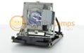 SOT Lampe de projecteur (contient lampe UHP d'origine - DE.5811116701 - 0793574675834