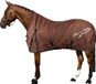 Imperial Riding Deken Irhsuper-dry 100gr Bruin - 205