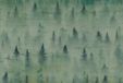 A.S. Création Papier peint Coniferous1 DD117980
