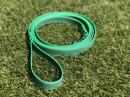 Hondenriem - 10 meter - Groen - Antislip - Trainingslijn