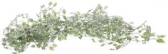 DPI Guirlande de houx miniature vert enneigé 180 cm