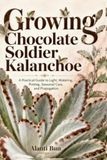 Growing Chocolate Soldier Kalanchoe: A Practical Guide