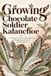 Growing Chocolate Soldier Kalanchoe: A Practical Guide