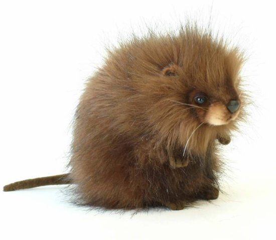 Hansa Muskusrat Knuffel 22 cm, bruin