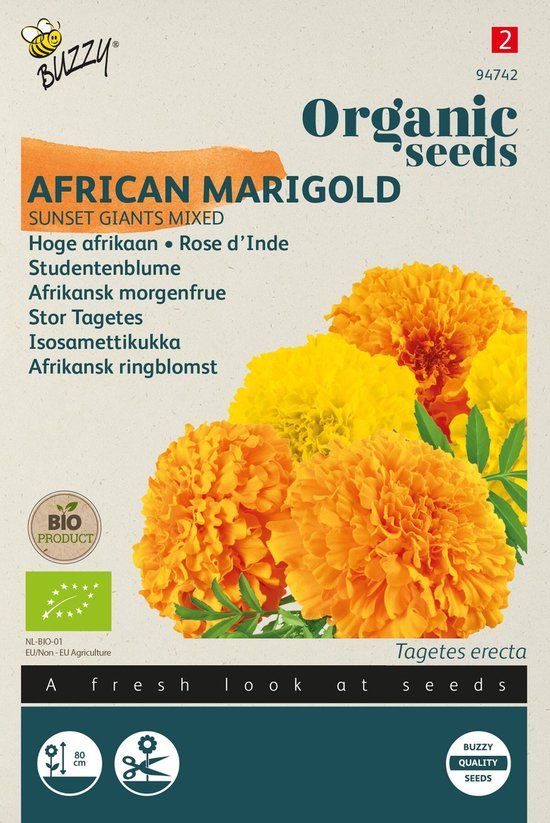 Tuinplus Zaden afrikaan sunset giants 1 gram