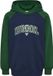 Hummel kinderhoodie Hmlessen 227669