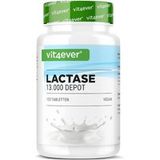 Vit4ever Darm & Co. Voedingssupplement Unisex 34.0g