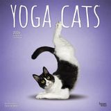 Browntrout Yoga Cats Kalender 2026 Wandkalender
