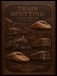 Train spotters logbook: railfanning